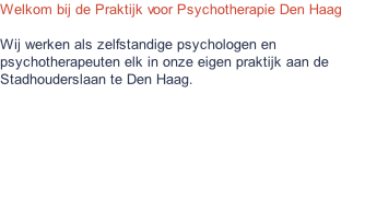 Welkom bij de Praktijk voor Psychotherapie Den Haag  Wij werken als zelfstandige psychologen en psychotherapeuten elk in onze eigen praktijk aan de Stadhouderslaan te Den Haag.